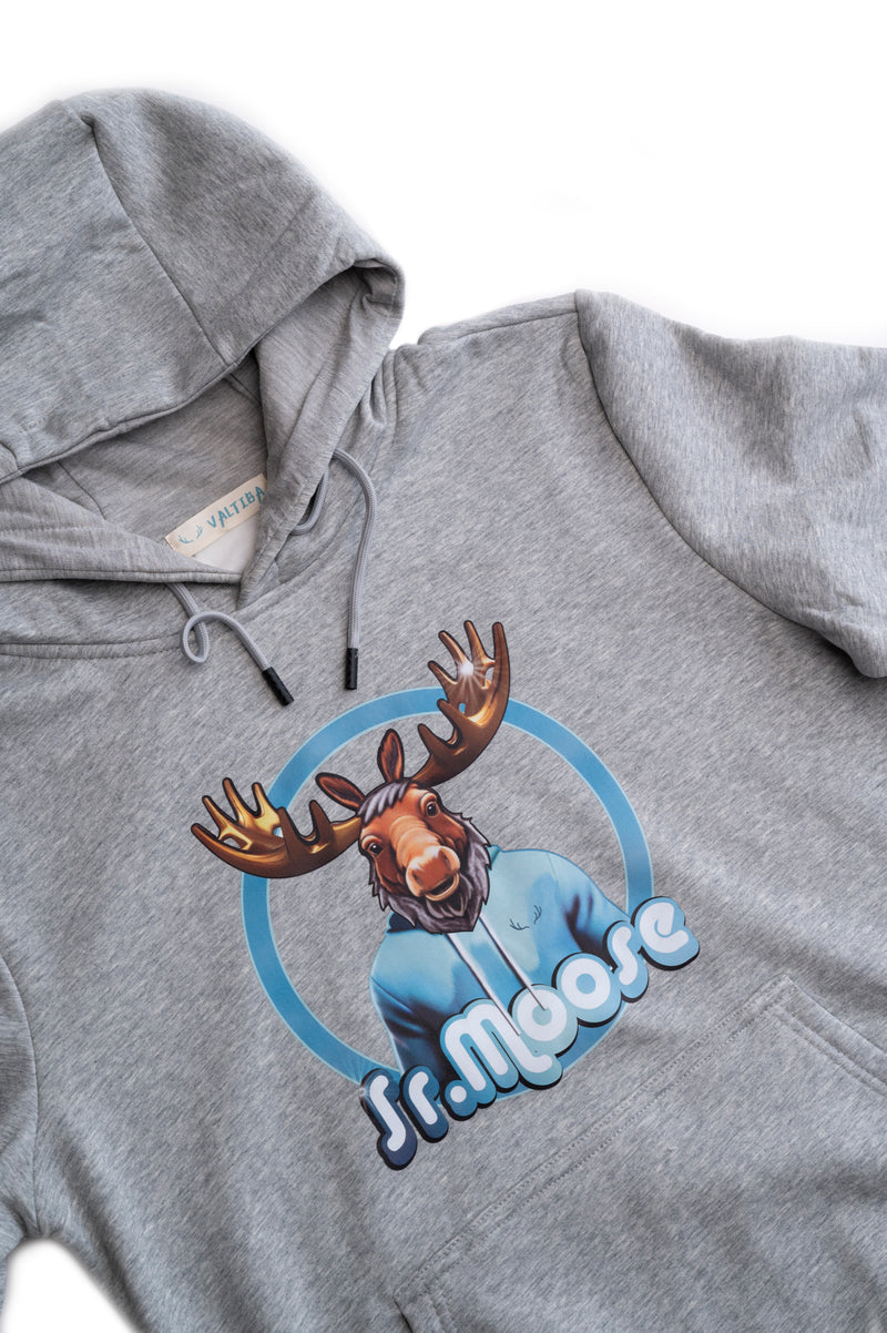 Sweat à capuche gris
