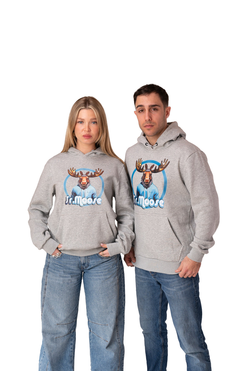 Sweat à capuche gris